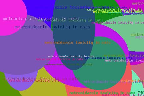 Metronidazole toxicity in cats