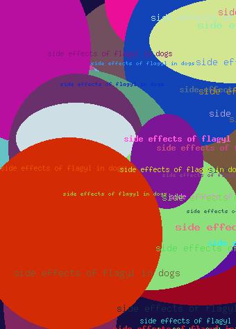 Side Effects Of Flagyl In Dogs